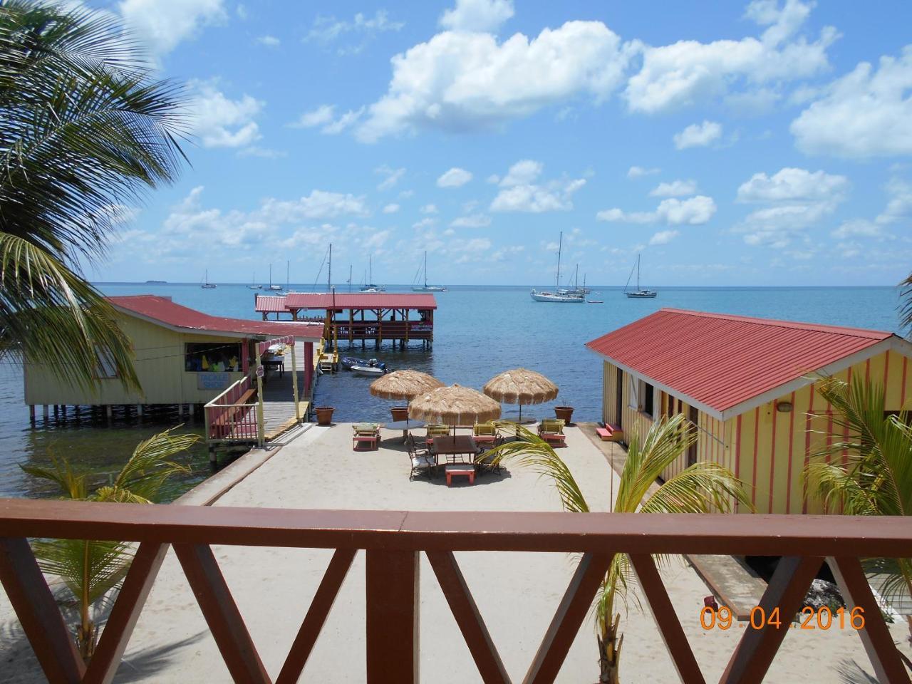 Alan'S Paradise Hotel Placencia Extérieur photo